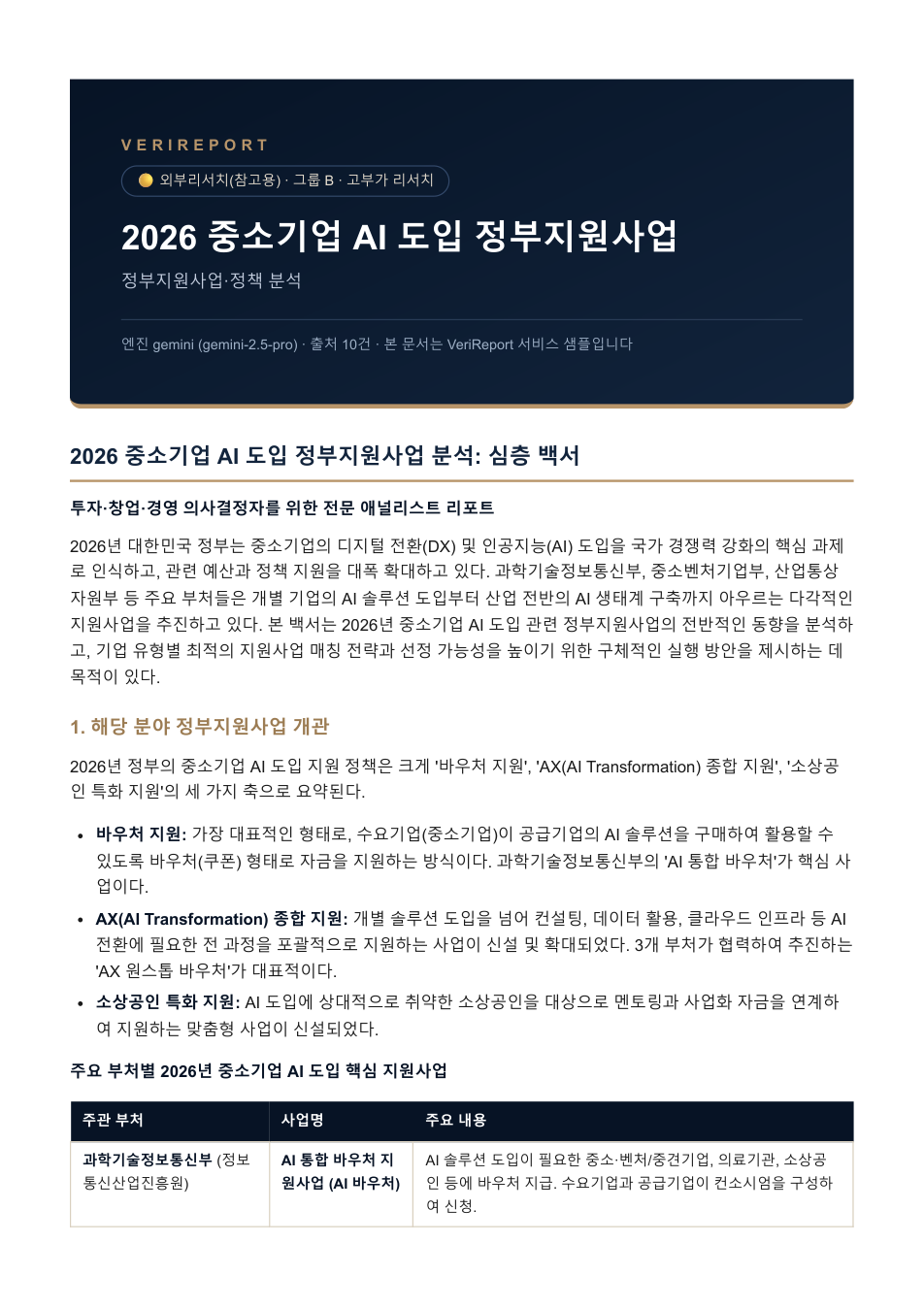 정부지원사업·정책 분석 샘플 커버